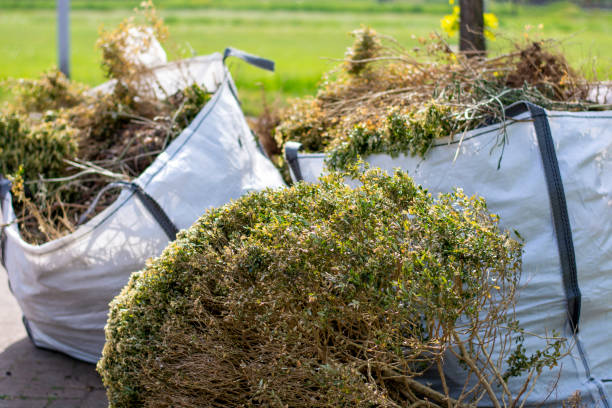 Best Garage Cleanout  in Altoona, IA